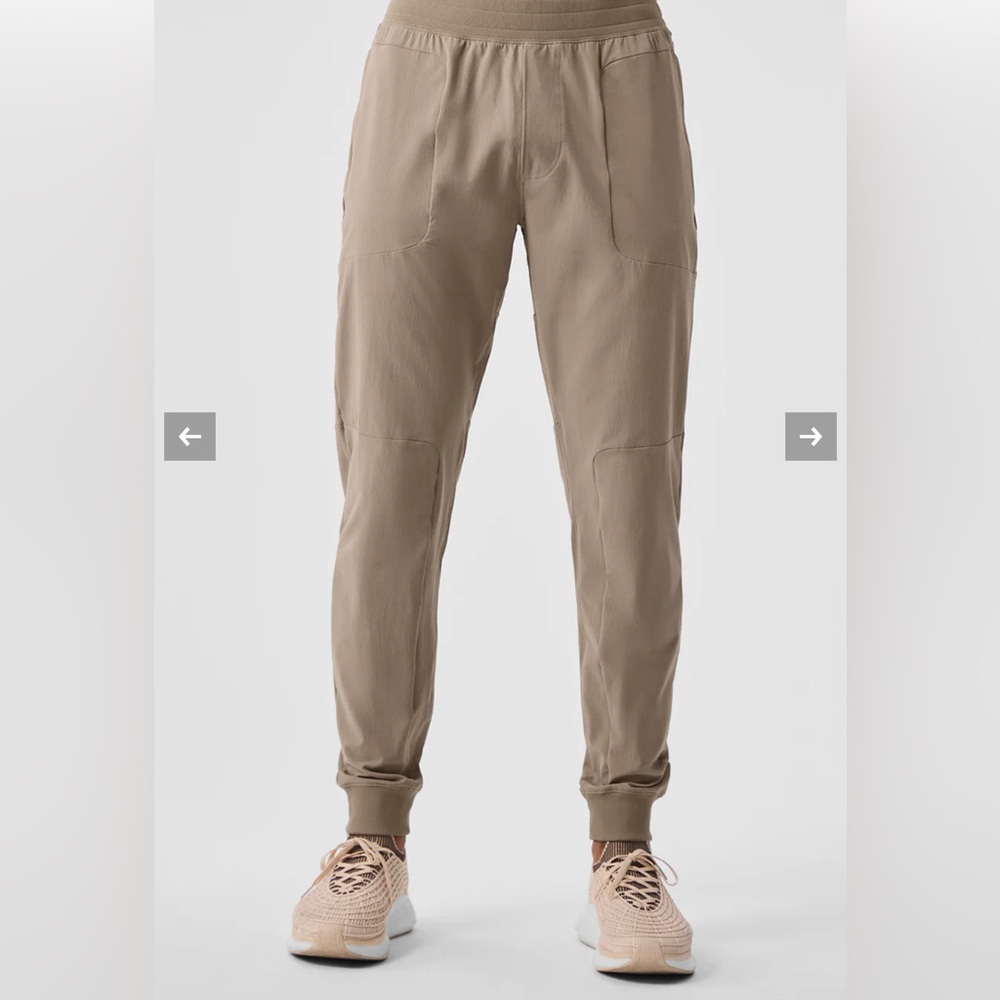 Alo co op pant